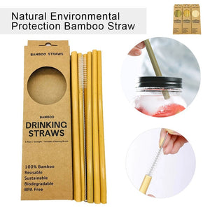 Eco-Friendly Bamboo Straws 12 Pcs 1 Brush - earth lovin