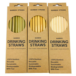 Eco-Friendly Bamboo Straws 12 Pcs 1 Brush - earth lovin