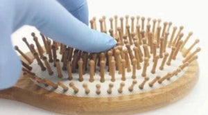 Natural Wooden Detangling Hair Brush - earth lovin