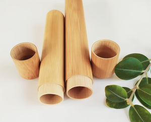 Bamboo Toothbrush Case - earth lovin